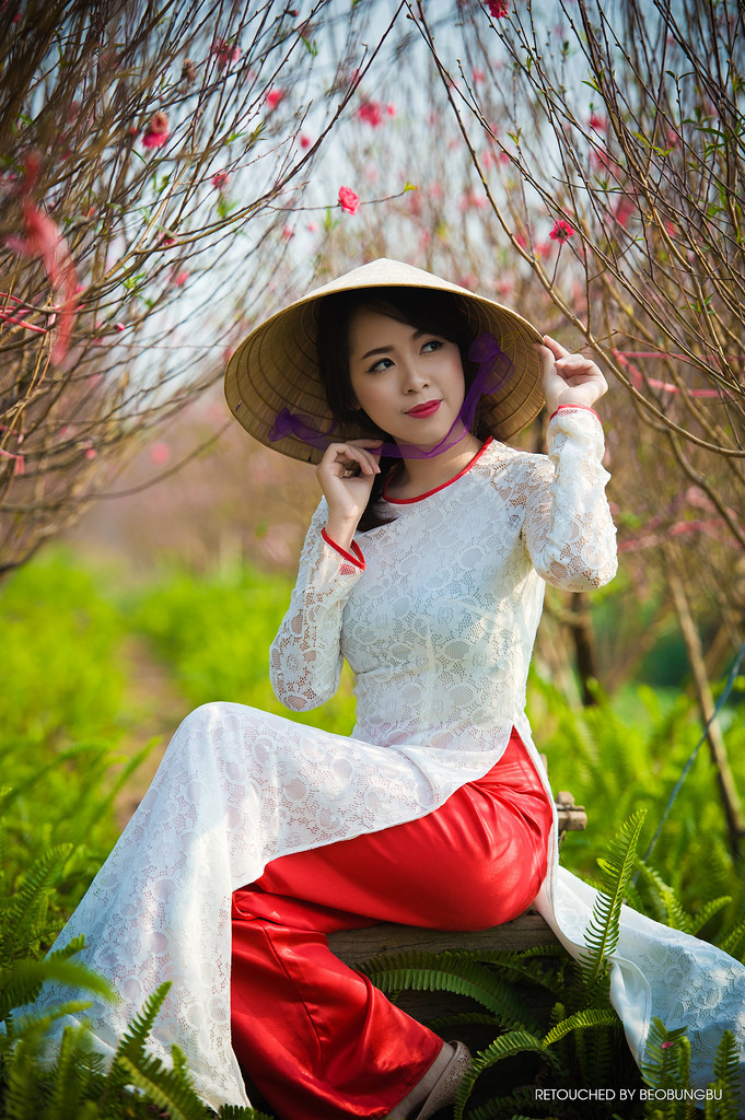 女律师的堕落